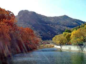 新澳天天开奖资料大全旅游团，樟树价格